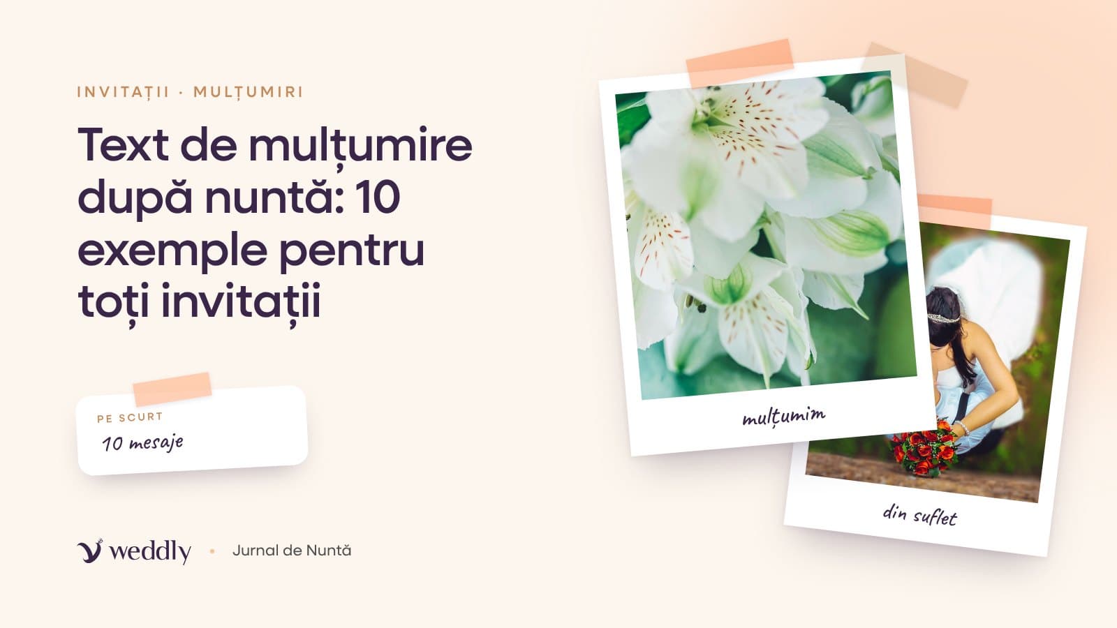 Copertă: Text de mulțumire după nuntă: 10 exemple pentru toți invitații
